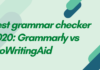 Best grammar checker 2020 Grammarly vs ProWritingAid
