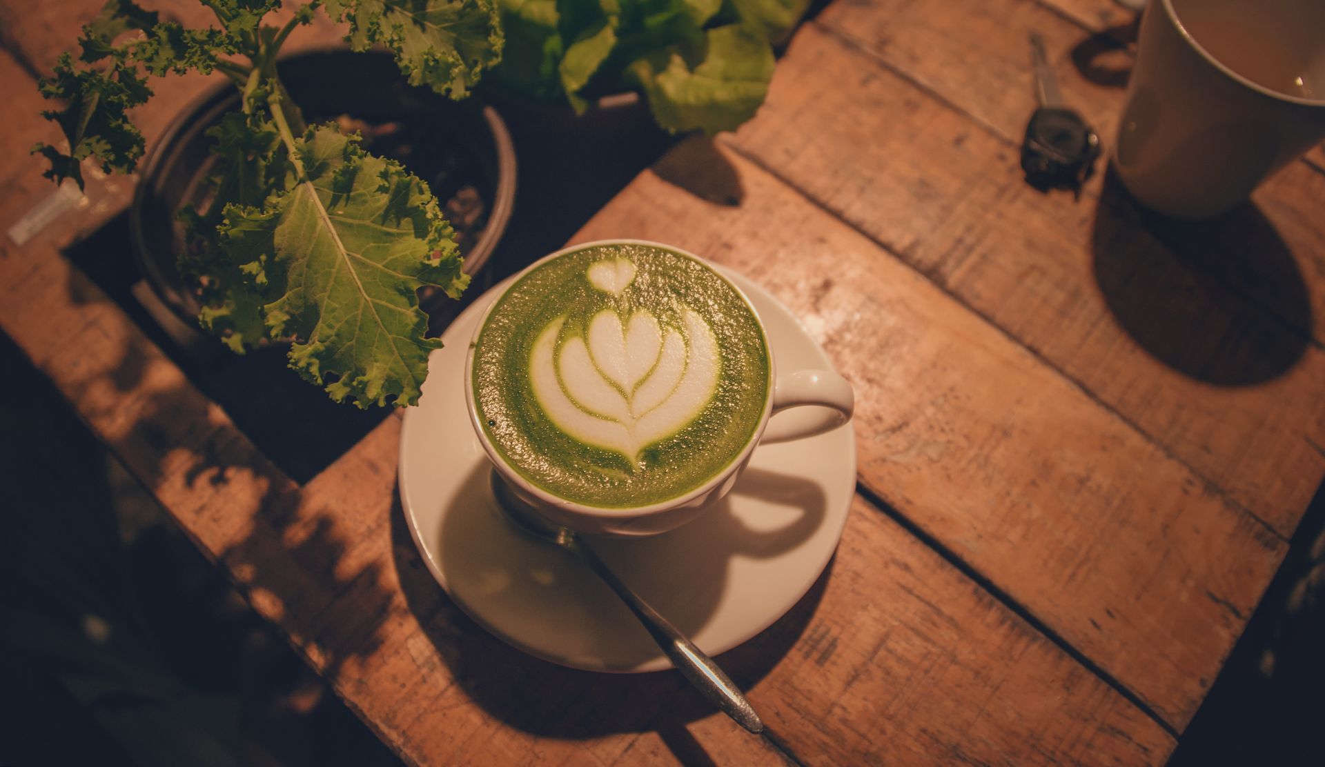 Does Hula Matcha Therapy Really Work For Depression?